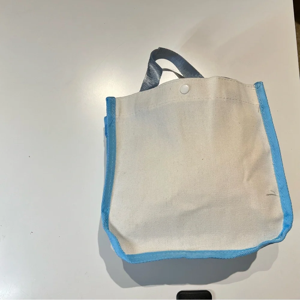 New Pochacco Mini Canvas Tote Bag in White and Light Blue
